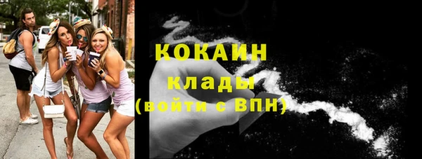 apvp Богородицк