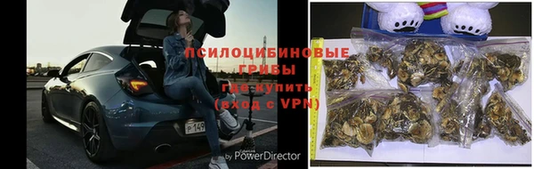 синтетический гашиш Богданович