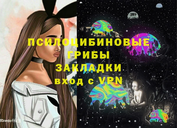 apvp Богородицк