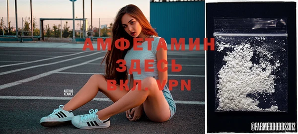 apvp Богородицк