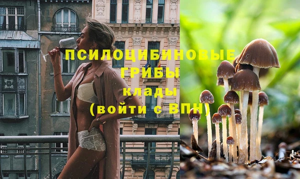 а пвп мука Богородск
