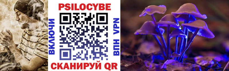 Псилоцибиновые грибы Cubensis  Новопавловск 